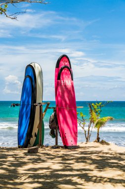 KUTA BALI - İNDONEZYA, FEBRUARY 7: 7 Şubat 2020 Bali Endonezya 'nın ünlü Kuta plajında sörf tahtaları