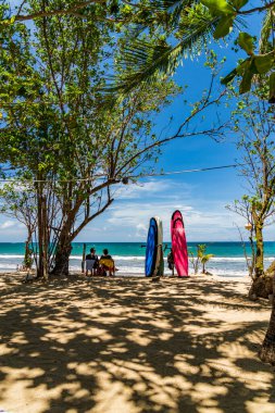 KUTA BALI - İNDONEZYA, FEBRUARY 7: 7 Şubat 2020 Bali Endonezya 'nın ünlü Kuta plajında sörf tahtaları