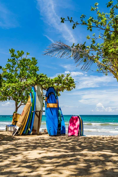 Kuta Bali Indonesia Febrero Tablas Surf Famosa Playa Kuta Bali —  Fotos de Stock