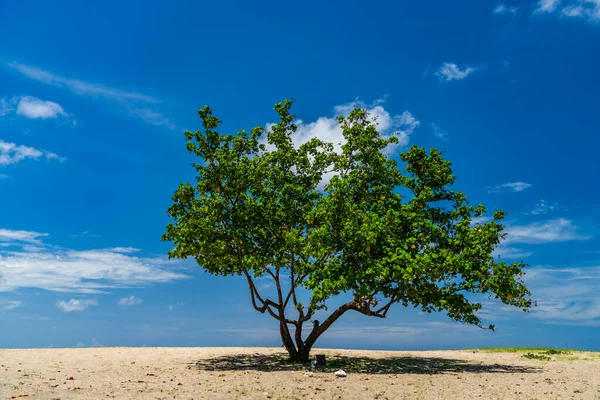 Jerman Beach Bali Indonésie — Stock fotografie