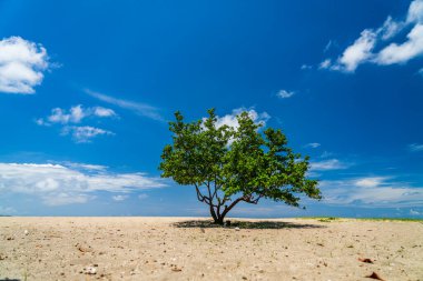Bali Endonezya 'daki Jerman Sahili
