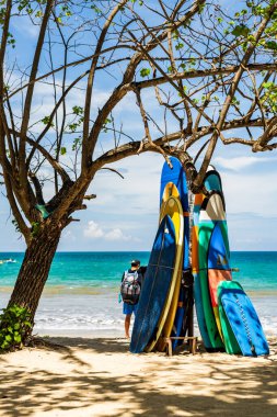 KUTA BALI - İNDONEZYA, FEBRUARY 7: 7 Şubat 2020 Bali Endonezya 'nın ünlü Kuta plajında sörf tahtaları