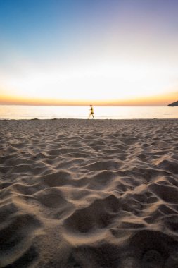 Tropik bir kumlu sahil manzarası