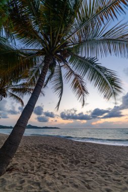 Tayland 'daki Koh Samui adasındaki Lamai plajı.