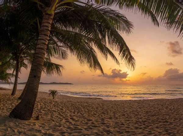 Tayland Daki Koh Samui Adasındaki Lamai Plajı — Stok fotoğraf