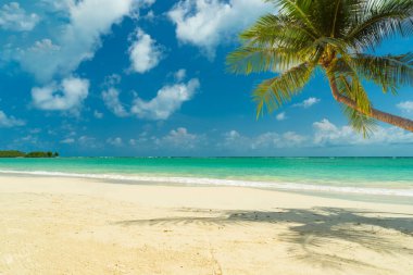 Tayland 'daki Koh Samui adasındaki Chaweng plajı.