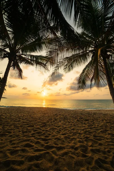 Solnedgång Vid Stranden Samui Thailand — Stockfoto
