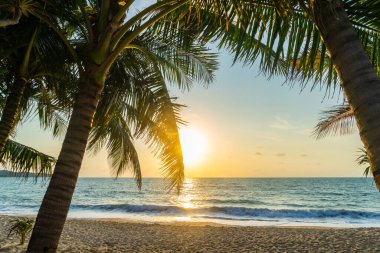 Tayland 'daki Koh Samui adasındaki Lamai plajı.