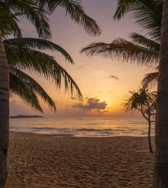 Tayland 'daki Koh Samui adasındaki Lamai plajı.