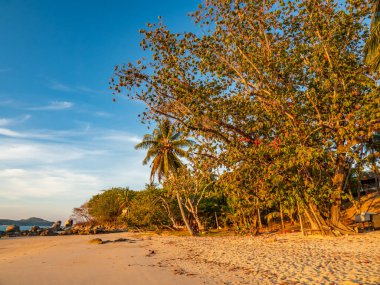 Rawai Phuket Tayland 'daki Laem Ka plajı.