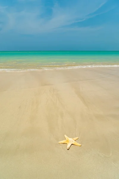 晴れた日に熱帯のビーチでヒトデ — ストック写真
