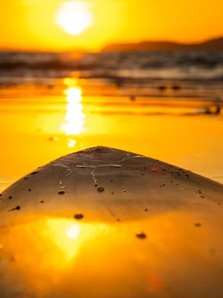 Surfplank Het Strand Bij Zonsondergang — Stockfoto