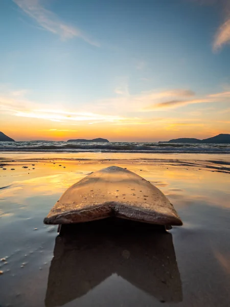 Planche Surf Sur Plage Coucher Soleil — Photo