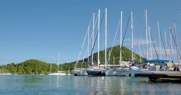 Bahía Nidri Isla Lefkas Grecia — Vídeos de Stock