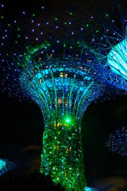 SIngapore körfezindeki bahçelerdeki süper ağaçlar.
