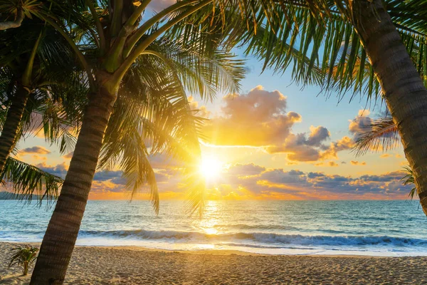 Tramonto Incredibile Sulla Spiaggia Tropicale — Foto Stock