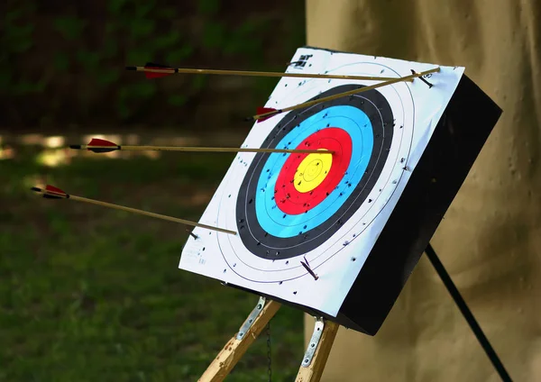 Bullseye Con Molte Frecce All Aperto — Foto Stock
