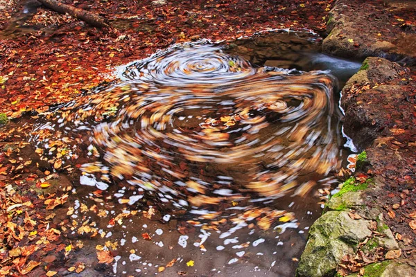 Whirlpool Water Autumn Colorful Leaves — Stock Photo, Image