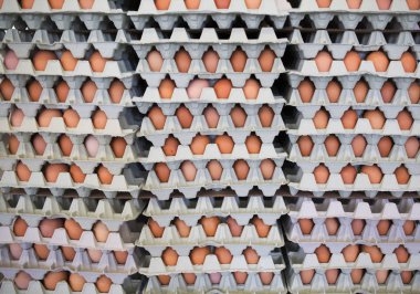 Karton kutuda bir sürü yumurta depolama