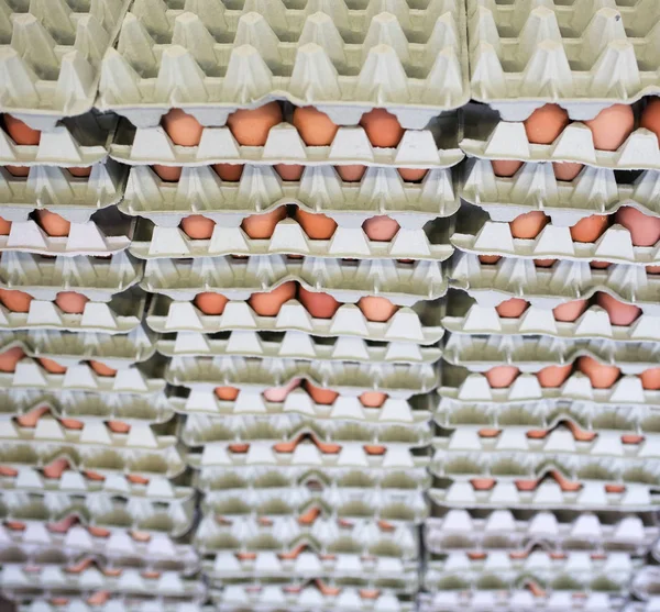 Storage Many Eggs Paper Box — Stock Photo, Image