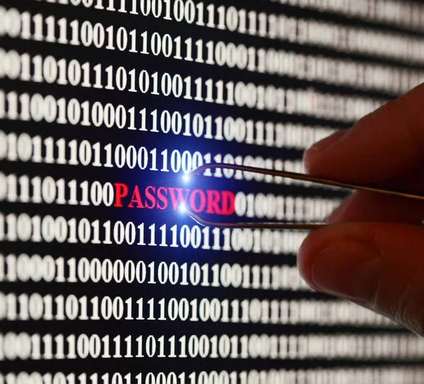 ikili şifre ve parola metin, bilgisayar, teknoloji ve online güvenlik için büyük kavramı ile bilgisayar ekran görüntüsü