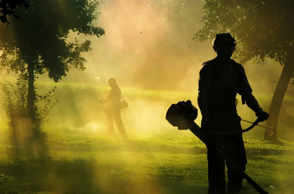 People cutting grass with brush cutter outdoor