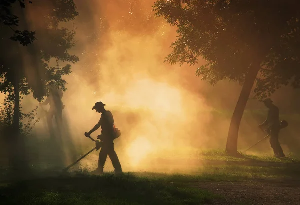 Pessoas Cortando Grama Com Cortador Escova Livre — Fotografia de Stock