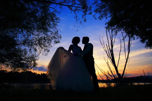 Silhouette Wedding Couple Nature Sunset — Stock Photo, Image