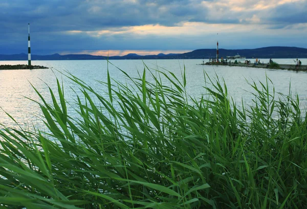 Lac Balaton Travers Roseau Hongrie — Photo