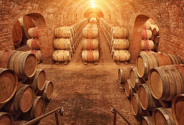 Wine Barrels Wine Vaults Order — Stock Photo, Image