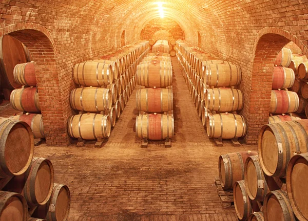 Wine Barrels Wine Vaults Order — Stock Photo, Image