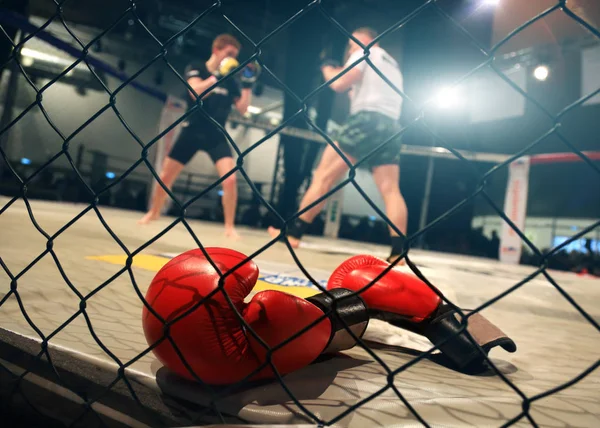 Mma Fight Scene Boxing Gloves Foreground — Stock Photo, Image