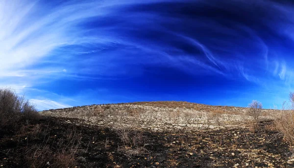 Nature Brûlée Avec Des Arbres — Photo