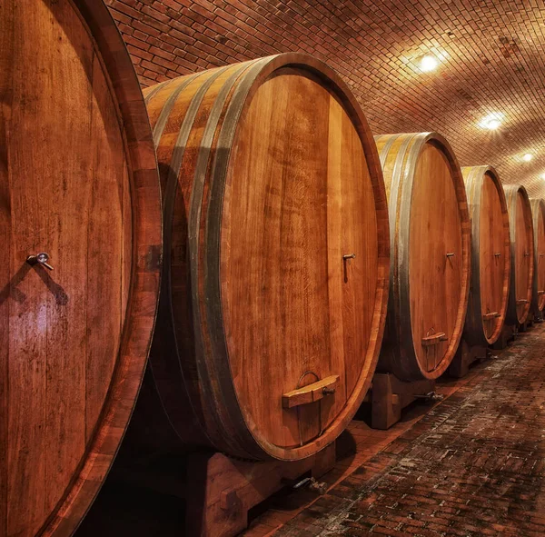 Wine Barrels Wine Vaults Orde — Stock Photo, Image