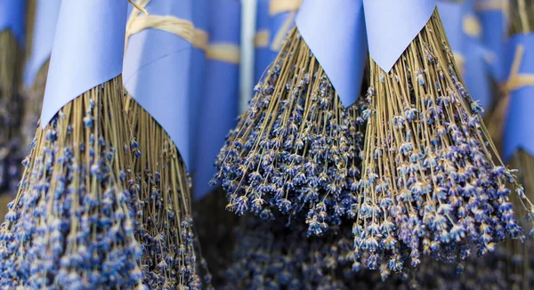 Lavanda Secca Appendere Gruppo — Foto Stock