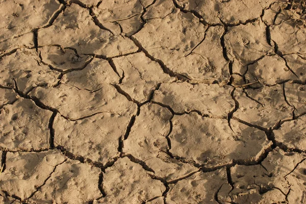 Suelo Seco Desierto Agrietado — Foto de Stock