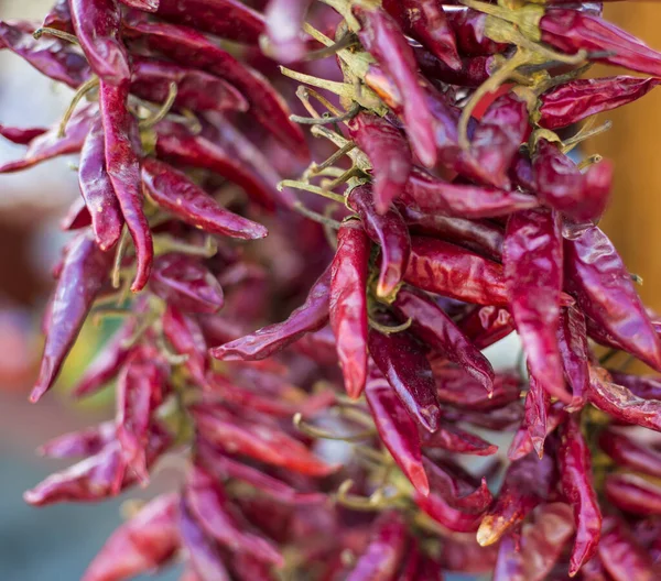 Dried Red Chili Paprika Hang Bunch — Stock Photo, Image