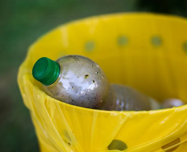Plastik Şişe Ayrı Olarak Çöp Kutusunda Toplandı — Stok fotoğraf