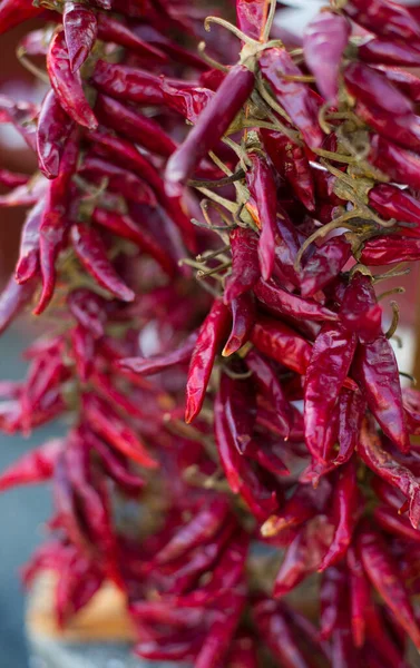 Dried Red Chili Paprika Hang Bunch — Stock Photo, Image