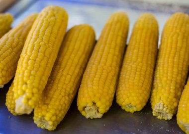 Haşlanmış mısır yığını.