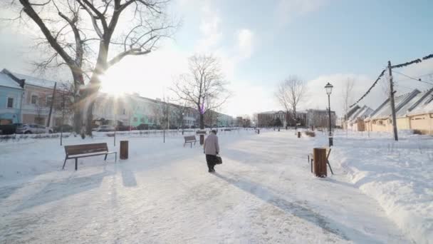 Parco Leninskiy a Kolomna — Video Stock