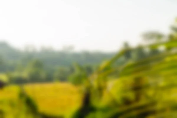 Bali Indonesia Travel theme blur background — Stock Photo, Image