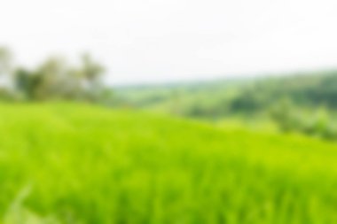 Bali Endonezya Seyahat tema bulanıklık arka plan