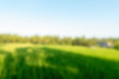 Bali Endonezya Seyahat tema bulanıklık arka plan