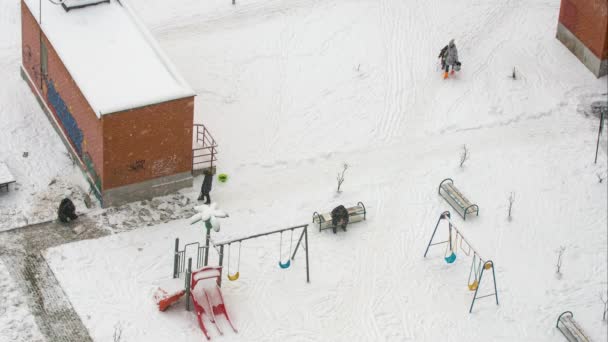 Los hombres paleando nieve lapso de tiempo — Vídeo de stock