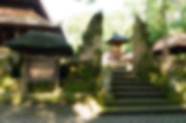 Ubud maymun orman Bali Endonezya Seyahat Tema arka plan bulanıklık