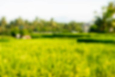 Bali Endonezya Seyahat tema bulanıklık arka plan