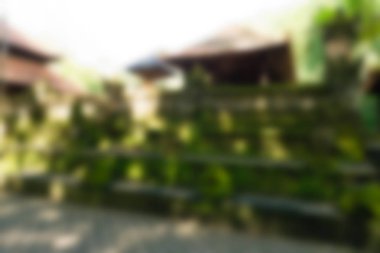 Ubud maymun orman Bali Endonezya Seyahat Tema arka plan bulanıklık