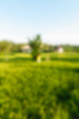 Bali Endonezya Seyahat tema bulanıklık arka plan