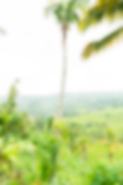 Bali Endonezya Seyahat tema bulanıklık arka plan